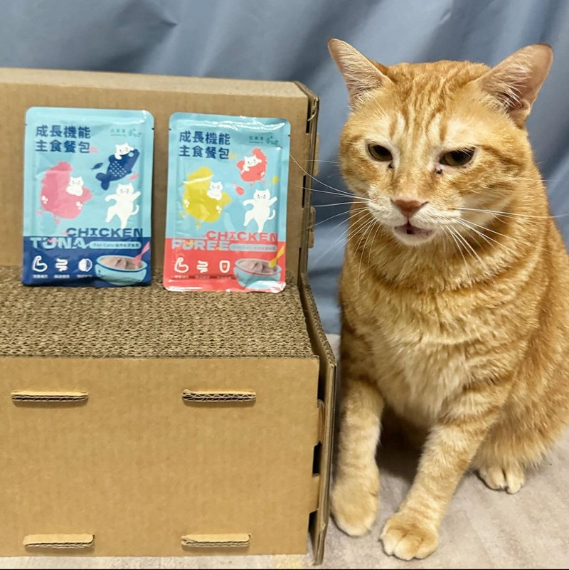 試用